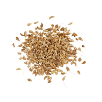 Aniss Seed