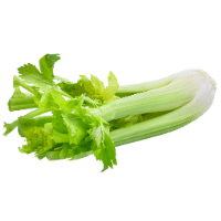 Celery