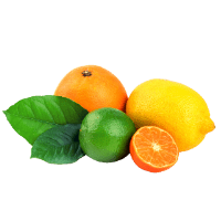 Citrus Bioflavonoids