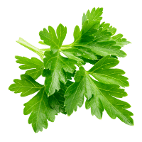 Parsley