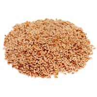 Psyllium Husk