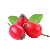 Rose Hips