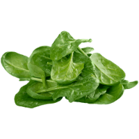 Spinach