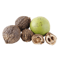 Black Walnut