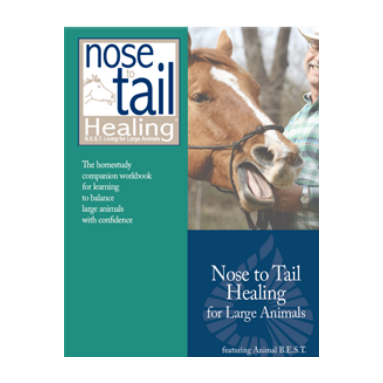 Nose to Tail Healing Homestudy Course (Large Animals)