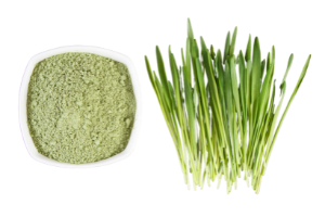 Barley Grass