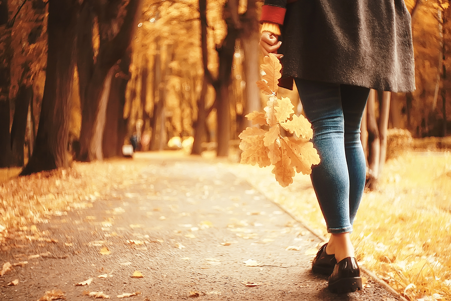 autumn view, one girl walks in the park / yellow leaves, autumn