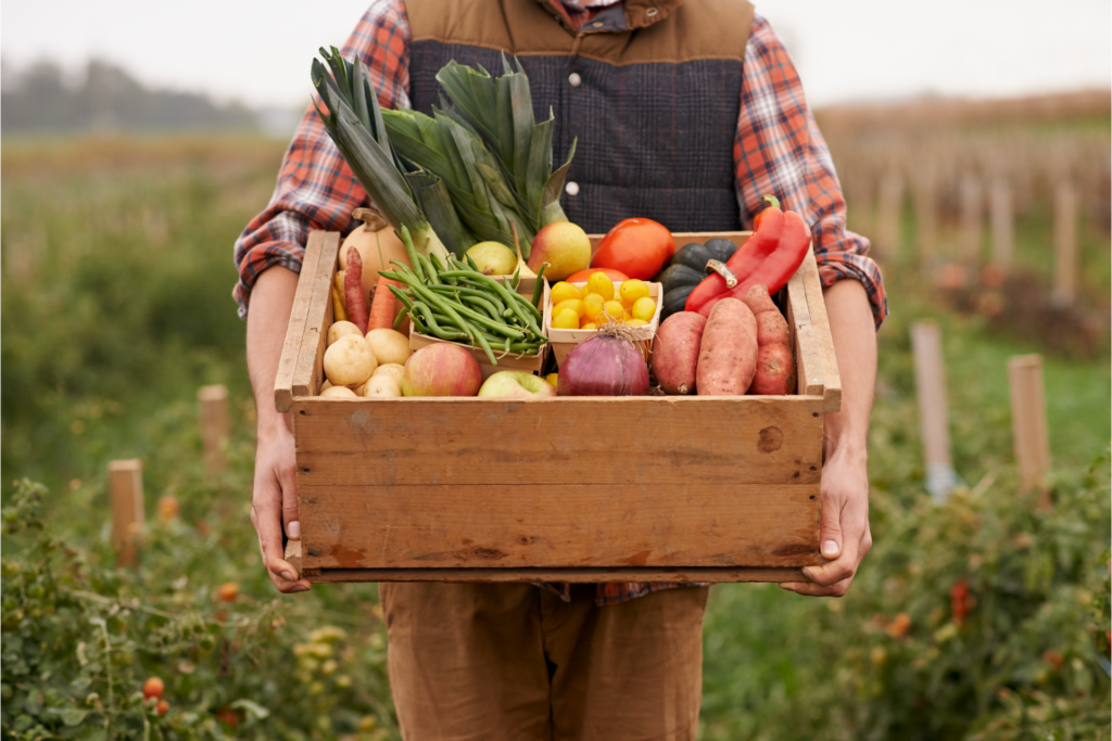 A farmer holding a crate of freshly harvested produce.